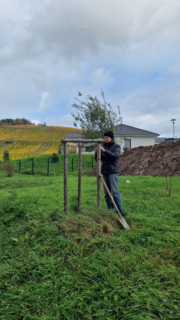 Baumpflanzchallenge 2025 - 6