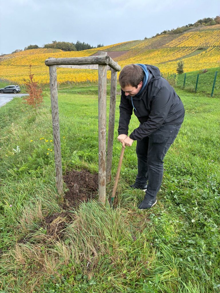 Baumpflanzchallenge 2025 - 9